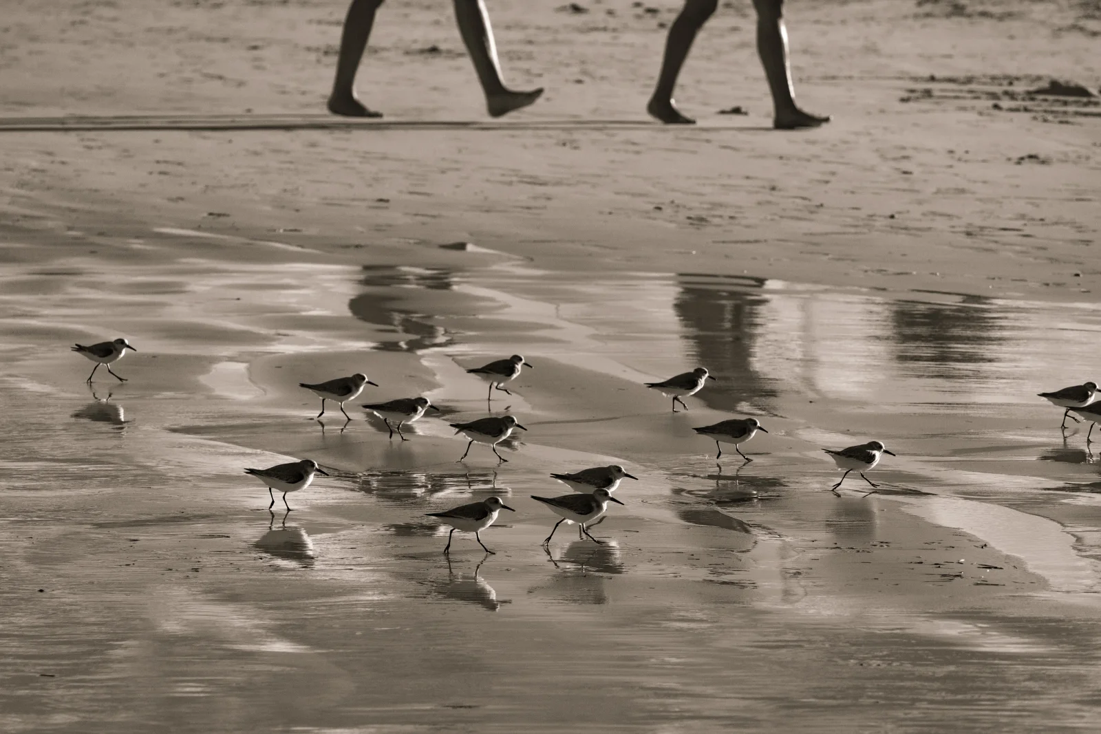 nature photography by JRMGraphy